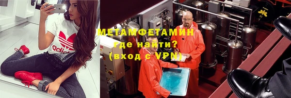 индика Верхний Тагил